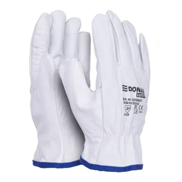 Imagine 2