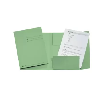 Dosar tip plic ESSELTE, carton, A4, verde deschis