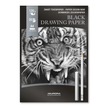 Bloc desen A4, 20 file - 120gsm, AURORA Raphael - hartie neagra