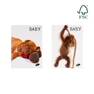 Caiet TIP1, 36 file, 80gsm, coperta carton 300gsm, design baby pets